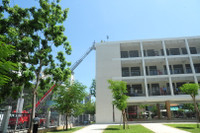 Diễn tập PCCC quy mô lớn toàn ngành giáo dục Đà Nẵng ảnh 4