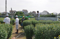 Đà Nẵng: Sôi động thị trường hoa Tết ảnh 2