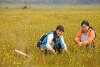 Đồng Tháp: Mở tour tham quan cánh đồng hoa hoàng đầu ấn ảnh 3