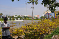 Đà Nẵng: Sôi động thị trường hoa Tết ảnh 6