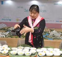 TPHCM: Lễ hội “Sen Trời Nam” ảnh 2 TPHCM: Lễ hội “Sen Trời Nam” ảnh 2