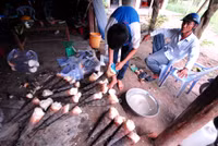 Mùa măng tre Núi Cấm ảnh 5