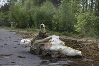 Lạnh gáy với khu nghĩa địa ma-nơ-canh ảnh 4 Lạnh gáy với khu nghĩa địa ma-nơ-canh ảnh 4