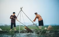 Bộ ảnh cưới “chân quê” của cặp đôi Việt kiều ảnh 2