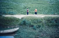 Bộ ảnh cưới “chân quê” của cặp đôi Việt kiều ảnh 11