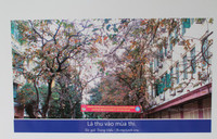 Mái trường yêu mến trong trái tim sinh viên Nhân văn ảnh 4 Mái trường yêu mến trong trái tim sinh viên Nhân văn ảnh 4