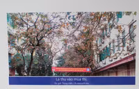 Mái trường yêu mến trong trái tim sinh viên Nhân văn ảnh 4