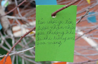 Những điều ước ngộ nghĩnh của học sinh trước năm mới ảnh 3