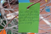 Những điều ước ngộ nghĩnh của học sinh trước năm mới ảnh 3