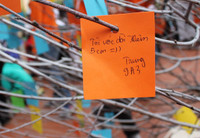 Những điều ước ngộ nghĩnh của học sinh trước năm mới ảnh 17