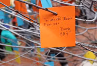 Những điều ước ngộ nghĩnh của học sinh trước năm mới ảnh 17