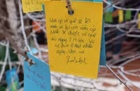 Những điều ước ngộ nghĩnh của học sinh trước năm mới ảnh 4