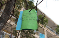 Những điều ước ngộ nghĩnh của học sinh trước năm mới ảnh 14