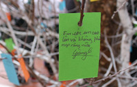 Những điều ước ngộ nghĩnh của học sinh trước năm mới ảnh 7