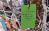 Những điều ước ngộ nghĩnh của học sinh trước năm mới ảnh 7