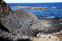 Một góc lạ của Đà Nẵng ảnh 2 Một góc lạ của Đà Nẵng ảnh 2