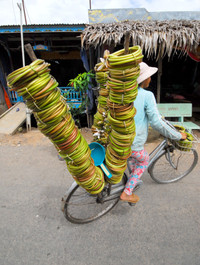 Nghề mới: Hái bông súng đồng mùa lũ ảnh 17 Nghề mới: Hái bông súng đồng mùa lũ ảnh 17