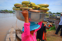 Nghề mới: Hái bông súng đồng mùa lũ ảnh 13