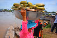 Nghề mới: Hái bông súng đồng mùa lũ ảnh 13