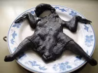 Gà đẻ trứng đen 0