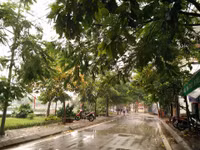 Hai con đường ven Hồ Tây mang tên hai nghệ sĩ lớn ảnh 11