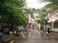 Hai con đường ven Hồ Tây mang tên hai nghệ sĩ lớn ảnh 12