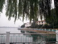 Hai con đường ven Hồ Tây mang tên hai nghệ sĩ lớn ảnh 5