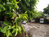 Hai con đường ven Hồ Tây mang tên hai nghệ sĩ lớn ảnh 15