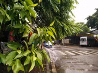 Hai con đường ven Hồ Tây mang tên hai nghệ sĩ lớn ảnh 15