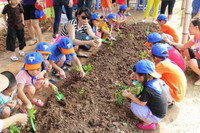 Hàng ngàn trẻ em TPHCM và Hà Nội được hỗ trợ nâng cao sức đề kháng ảnh 1 Hàng ngàn trẻ em TPHCM và Hà Nội được hỗ trợ nâng cao sức đề kháng ảnh 1