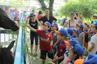 Hàng ngàn trẻ em TPHCM và Hà Nội được hỗ trợ nâng cao sức đề kháng ảnh 3 Hàng ngàn trẻ em TPHCM và Hà Nội được hỗ trợ nâng cao sức đề kháng ảnh 3