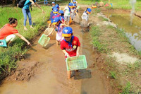 Hàng ngàn trẻ em TPHCM và Hà Nội được hỗ trợ nâng cao sức đề kháng ảnh 2 Hàng ngàn trẻ em TPHCM và Hà Nội được hỗ trợ nâng cao sức đề kháng ảnh 2