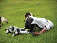 Người đàn ông thích sống như... dê núi ảnh 1 Kì quặc người đàn ông tự biến mình thành... dê