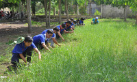 Đẹp mãi màu áo xanh tình nguyện ảnh 1 Đẹp mãi màu áo xanh tình nguyện ảnh 1