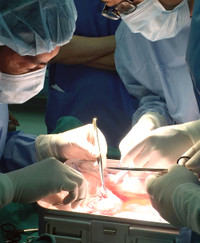 Lần đầu tiên ghép thận thành công cho người nước ngoài ảnh 3 Lần đầu tiên ghép thận thành công cho người nước ngoài ảnh 3