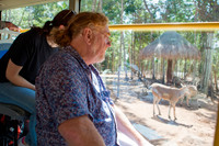 VInpearl Safari tích cực xây dựng quy chuẩn đánh giá phúc lợi động vật ảnh 1 VInpearl Safari tích cực xây dựng quy chuẩn đánh giá phúc lợi động vật ảnh 1