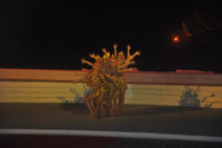 Khai mạc Festival Di sản Quảng Nam lần thứ VI – 2017 ảnh 3