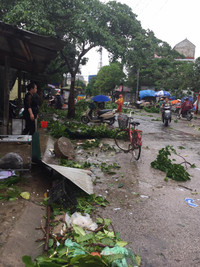 Nghệ An: 1 người tử vong, 1 tàu hàng mất liên lạc sau bão ảnh 5 Nghệ An: 1 người tử vong, 1 tàu hàng mất liên lạc sau bão ảnh 5