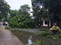 Nghệ An: 1 người tử vong, 1 tàu hàng mất liên lạc sau bão ảnh 2 Nghệ An: 1 người tử vong, 1 tàu hàng mất liên lạc sau bão ảnh 2