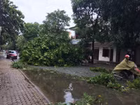 Nghệ An: 1 người tử vong, 1 tàu hàng mất liên lạc sau bão ảnh 2