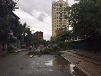 Nghệ An: 1 người tử vong, 1 tàu hàng mất liên lạc sau bão ảnh 3