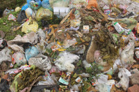 Hà Tĩnh: Khu tái định cư “biến” thành bãi rác ảnh 4