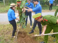 Hành trình “Theo bước chân người anh hùng” ảnh 12