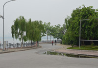 Bảng lảng sương mai, sen Hồ Tây e ấp ảnh 1