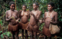 Phát hiện bộ lạc sống trên cây cao 50 m leo như vượn, không quần áo, và ăn côn trùng sâu bọ ảnh 5 Phát hiện bộ lạc sống trên cây cao 50 m leo như vượn, không quần áo, và ăn côn trùng sâu bọ ảnh 5