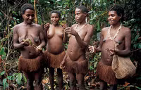 Phát hiện bộ lạc sống trên cây cao 50 m leo như vượn, không quần áo, và ăn côn trùng sâu bọ ảnh 5 Phát hiện bộ lạc sống trên cây cao 50 m leo như vượn, không quần áo, và ăn côn trùng sâu bọ ảnh 5