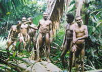 Phát hiện bộ lạc sống trên cây cao 50 m leo như vượn, không quần áo, và ăn côn trùng sâu bọ ảnh 3 Phát hiện bộ lạc sống trên cây cao 50 m leo như vượn, không quần áo, và ăn côn trùng sâu bọ ảnh 3