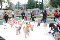 Hội Xuân Vinsers 2017 - Những điều tử tế ảnh 5