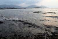 Hà Tĩnh: Dân “kêu trời” vì bãi biển chuyển màu đen ngòm do bãi tập kết than ảnh 5 Hà Tĩnh: Dân “kêu trời” vì bãi biển chuyển màu đen ngòm do bãi tập kết than ảnh 5