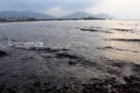 Hà Tĩnh: Dân “kêu trời” vì bãi biển chuyển màu đen ngòm do bãi tập kết than ảnh 5